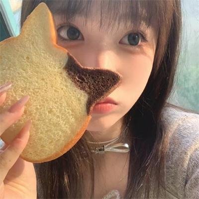 双子镇